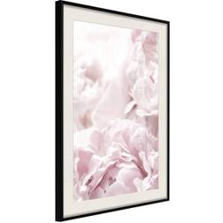 Arkiio Affisch Fluffy Peonies [Poster] 20x30 Poster